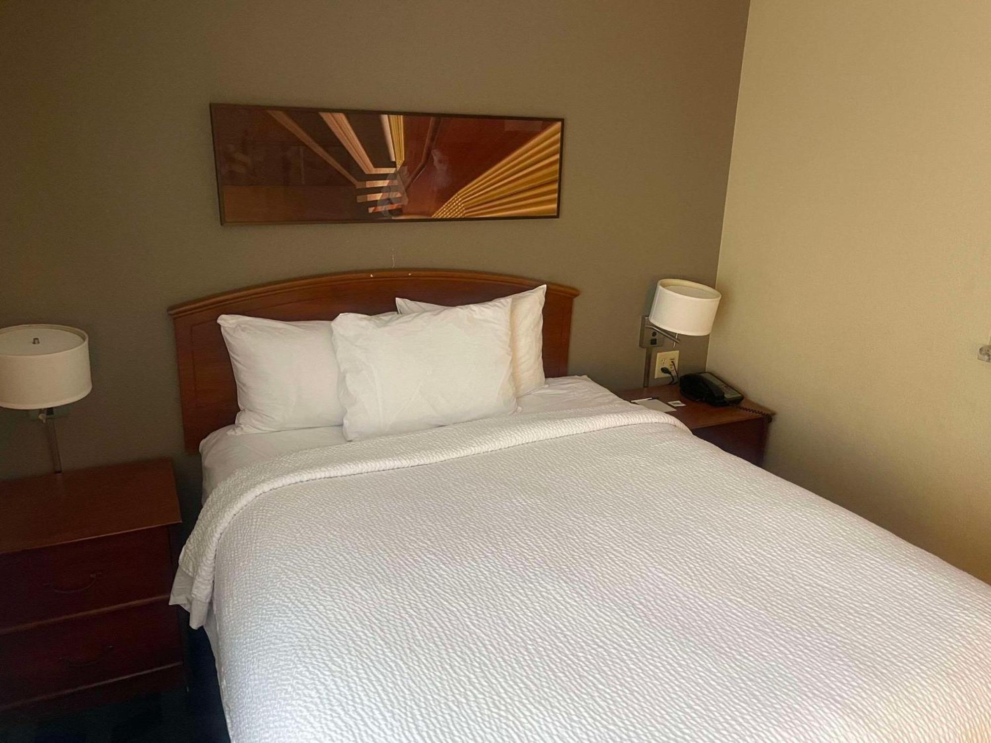 Mainstay Suites Tampa Moffitt-Usf Temple Terrace Luaran gambar