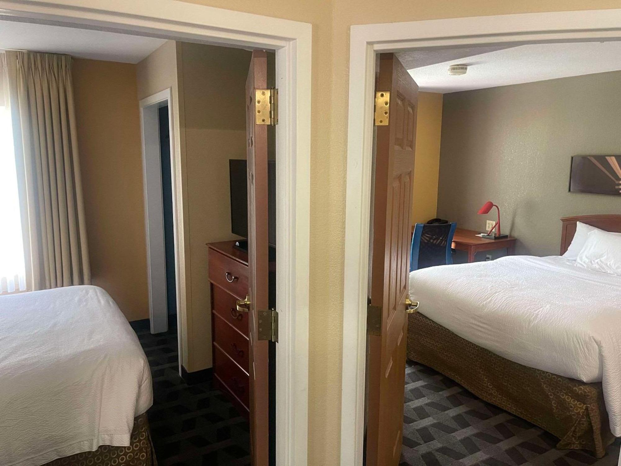 Mainstay Suites Tampa Moffitt-Usf Temple Terrace Luaran gambar