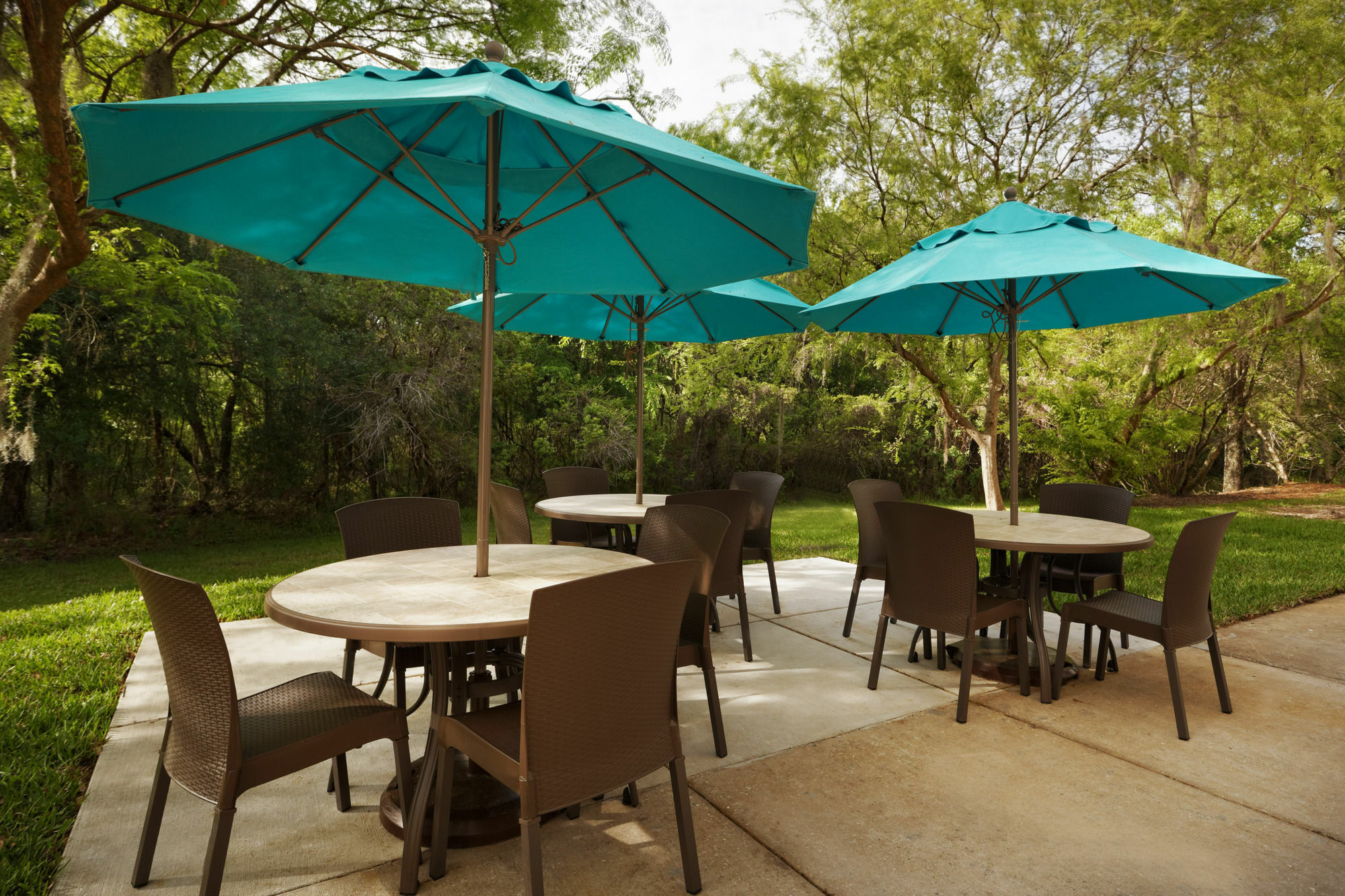 Mainstay Suites Tampa Moffitt-Usf Temple Terrace Luaran gambar